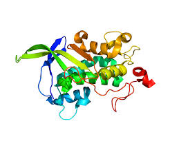 Leaders in pediatric care · innovative therapies · experienced team Niemann Pick Disease Type C Wikipedia