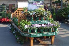 We did not find results for: Garden Center Partners White Flower Farm