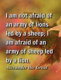 Powerful Quote By Alaxander The Great Powerful Quotes Greatful Quotes