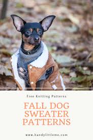 First, we're focusing on crochet patterns for amigurumi pigs! 10 Beautiful Fall Dog Sweater Knitting Patterns Fall Dog Dog Sweater Pattern Dog Sweaters