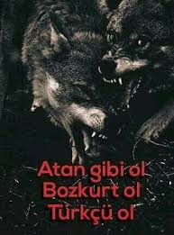 Elcin Həsənov Adli Kullanicinin Turklər Panosundaki Pin Tarih Turkler Wolf