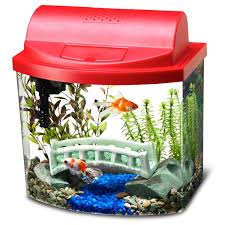Aqueon Mini Bow Desktop Aquarium Kit In Red 5 Gal Petco Store Desktop Aquarium Aquarium Kit Aquarium