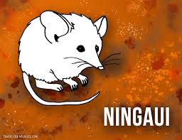 Maybe you would like to learn more about one of these? 37 Animals That Start With N