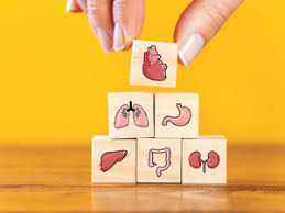 Do you go with a more expensive plan? How Much And What Type Of Health Insurance Policy You Need For Different Life Stages The Economic Times