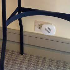 Most ultrasonic mouse repellers are safe for household pets such as dogs and cats which aren't affected by the ultrasonic sounds. Bird X Pest X Electronic Ultrasonic Pest Repeller 500 Sq Ft Rodents Mice Rats Insects Ants Spiders Safe Pest Control Px 110 The Home Depot