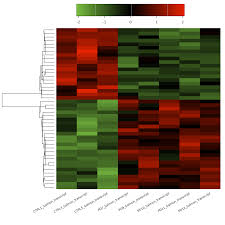 Image result for bioinformatics heatmap