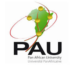 Pau Pan African University Sareco