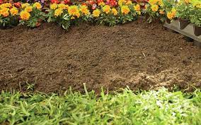 Prepare Garden Bed How To Plant Flowers Planting Flowers Plants Flower Beds