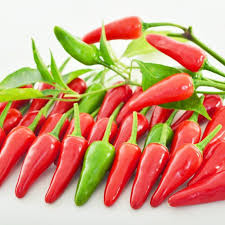 Image result for Capsicum frutescens