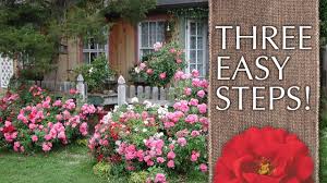 English cottage garden design plans. How To Create A Cottage Garden Youtube