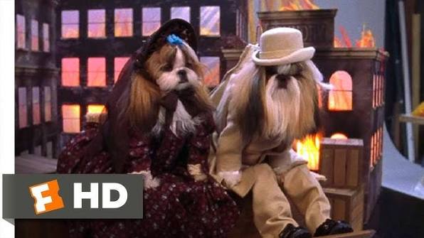 Best in Show (11/11) Movie CLIP - Shih Tzu Calendar (2000) HD