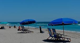 Check spelling or type a new query. Beach Service