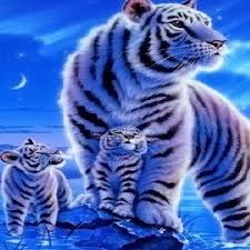 89 top tiger wallpapers hd download , carefully selected images for you that start with t letter. Get Tiger Hd Wallpaper Background Microsoft Store