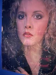 Music Appreciation for Stevie Nicks Fans