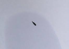 Unknown Parasite What S That Bug