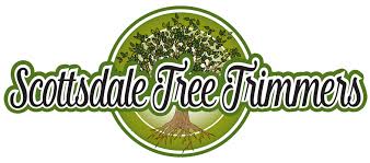 Learn more about the saguaro cactus and see pictures from the phoenix area. Saguaro Cactus Removal Scottsdale Tree Trimmers Tm Tree Trimming Tree Removal Service