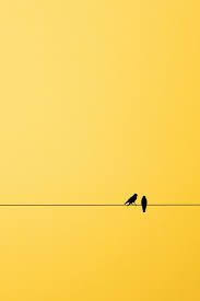 Resultado De Imagen De Tumblr Yellow Preto Estetico Planos De Fundo Instagram Dicas