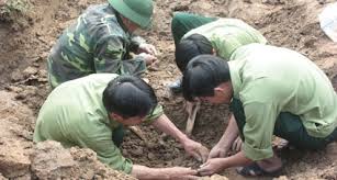 Kết quả hình ảnh cho Hình ảnh tim mọ liệt sĩ