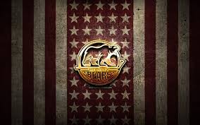 By default, yandex browser elements (tabs, smartbox etc) are displayed on a light background. Download Imagens Bandeira Hershey Bears Ahl Fundo De Metal Marrom Marrom Time De Hoquei Americano Logotipo Hershey Bears Eua Hoquei Logotipo Dourado Hershey Bears Gratis Imagens Livre Papel De Parede