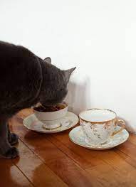 This Re Purposed Porcelain Tea Set Pet Food Station Cat Food Station Food Animals