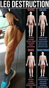 How To Get Big Legs The Wheels Of Steel Workout Fitness And Power Leg Workout Workout Routine Weight Training Workouts