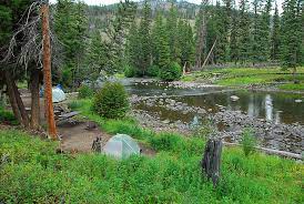 Can you camp in yellowstone. See All 1 852 Yellowstone National Park Campsite Photos