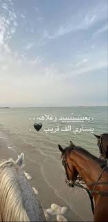 pin by 𓆩ꪑ𓆪 on اشعار وحركات iphone wallpaper quotes love cover photo quotes beautiful arabic words