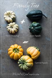 Image result for carnival acorn squash