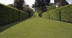 By blocking the area where the noise gets through, you will undoubtedly enjoy peace. The Complete Guide To Soundproofing Your Garden