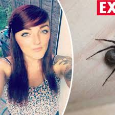 Black widow spiders are known for their lethal venom, but just how did they get so deadly? It Was Like A Horror Movie Family Terrorised By Venomous Wolf Spiders Invading Uk Daily Star