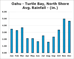 Turtle Bay Resort Review Tropicalresortfinder Com