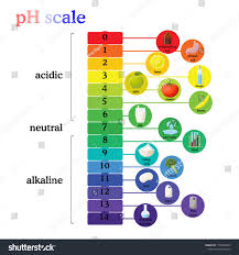 Ph Scale Diagram With Corresponding Acidic Or Alkaline