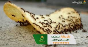 تنضيف العسل من الكنب