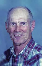 Robert Flora Obituary (2017)