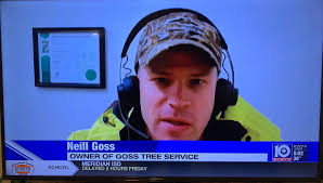 Professional Tree Service in Waco, TX