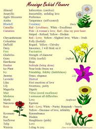 Flowers carry several symbolic meanings for each arrangement. Flowers And Meaning Behind Them