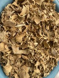 Image result for Voacanga africana