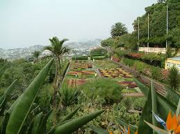 See more of botanischer garten und botanisches museum berlin on facebook. Botanischer Garten Boarding Time