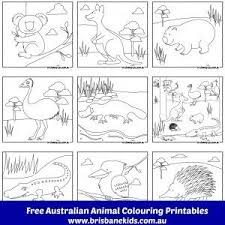 Site Search Discovery Powered By Ai Australian Animals Australia Crafts Australia Animals