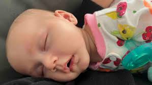 Fundraiser for David Lang by Shelby Brennan : Support the Lang Family After  Tragic Loss