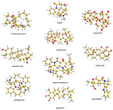 Image result for Strychnos matopensis