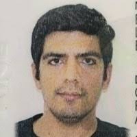 80+ "Bovio" profiles