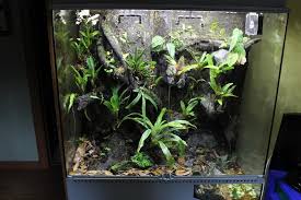 The Tree Finished Product 100gallon Vivarium Tree Photo