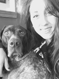 4-year-old German Shepherd missing in Ecorse area