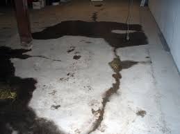 Whether the problem is expansive soils or unstable soils underneath your foundation either way, the movement of concrete floors can lead to cracks along drywall and the floor itself. Basement Floor Crack Repair Repairing Leaking Cracks In Concrete Slab Floors