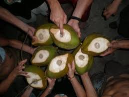 Check spelling or type a new query. I Ve Got A Lovely Bunch Of Coconuts Picture Of Montezuma Province Of Puntarenas Tripadvisor