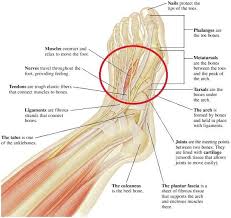 Pin On Hip Leg Pain