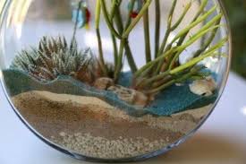 Terrarium Layers Garden Design Magazine Plant Texture Succulent Arrangements