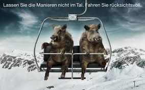 Http Www Jkarl De Images Wildschweine Jpg Fahren Jagd Manieren