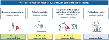 What does hfn stand for in medical & science ?. The Role For High Flow Nasal Cannula As A Respiratory Support Strategy In Adults A Clinical Practice Guideline Springerlink